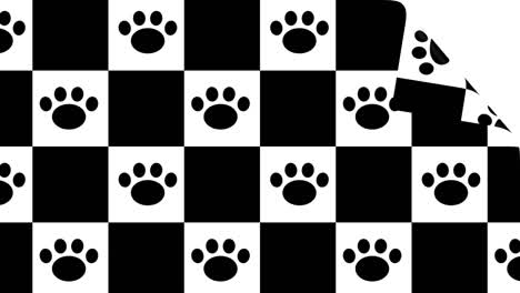 Tile-seal-paw-Transitions.-1080p---30-fps---Alpha-Channel-(3)
